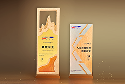 皇朝国际皇朝国际一举斩获“2024年度中国区最佳雇主”等多项大奖