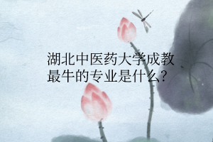 湖北中醫(yī)藥大學(xué)成教最牛的專業(yè)是什么？