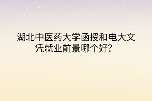 湖北中醫(yī)藥大學函授和電大文憑就業(yè)前景哪個好？