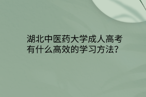 湖北中醫(yī)藥大學成人高考有什么高效的學習方法？