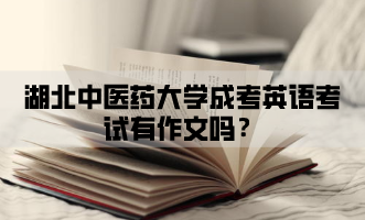 湖北中醫(yī)藥大學(xué)成考英語考試有作文嗎？