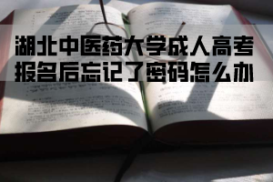 湖北中醫(yī)藥大學成人高考報名后忘記了密碼怎么辦